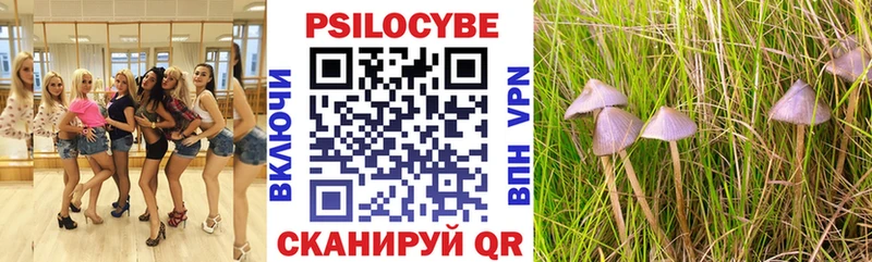 Псилоцибиновые грибы MAGIC MUSHROOMS  Лениногорск 