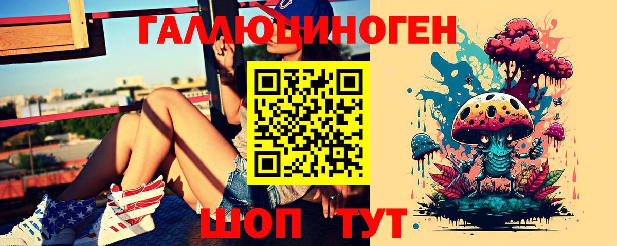 Псилоцибиновые грибы Psilocybe Лениногорск